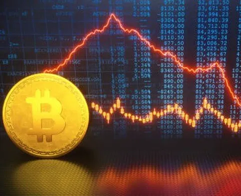 Rápida Coinvia - Enhance Your Trading Expertise with Rápida Coinvia